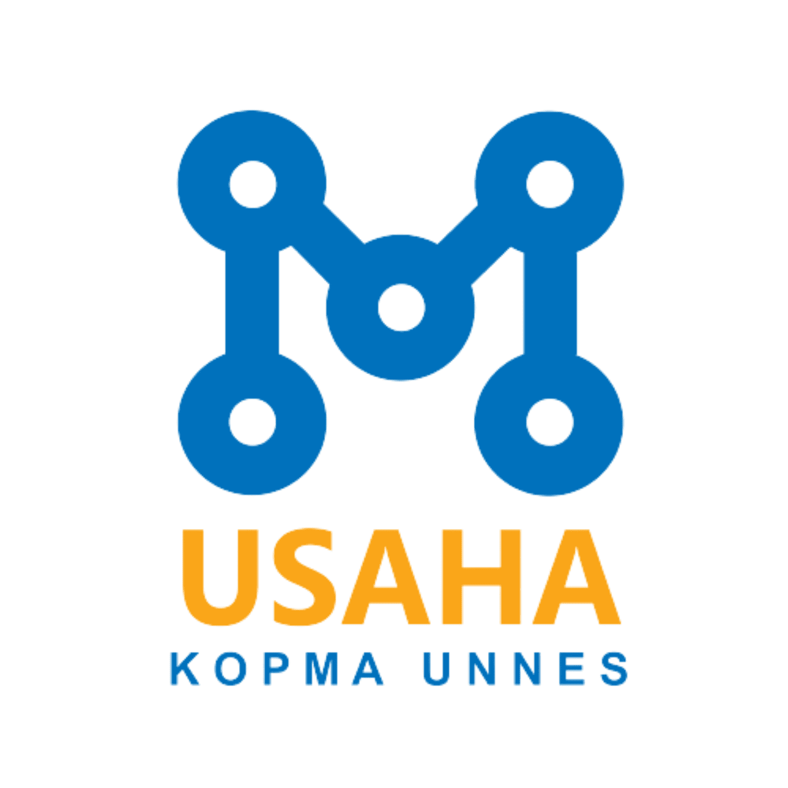 USAHAKOPMAUNNESS