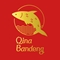 QINA BANDENG