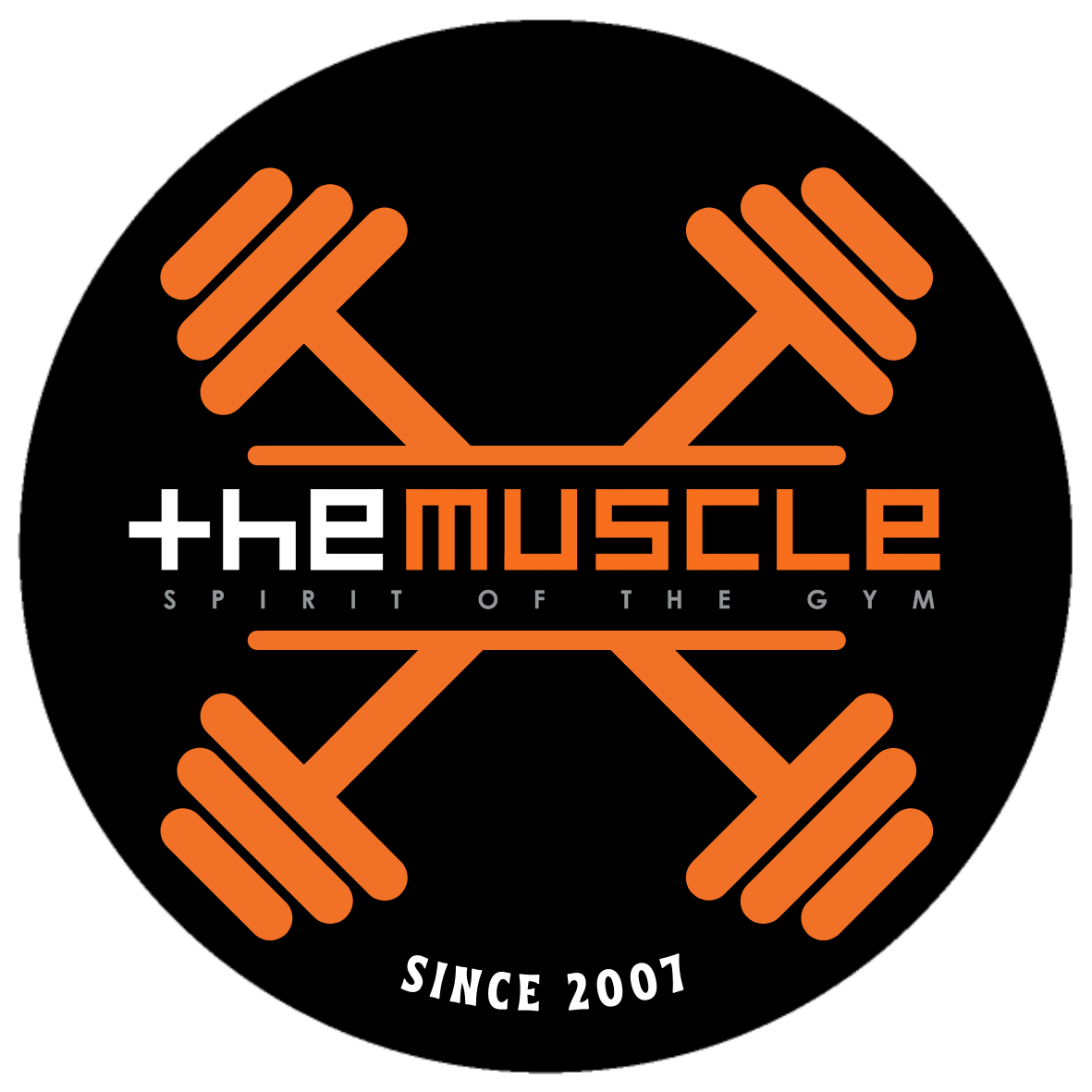 THEMUSCLE GYM